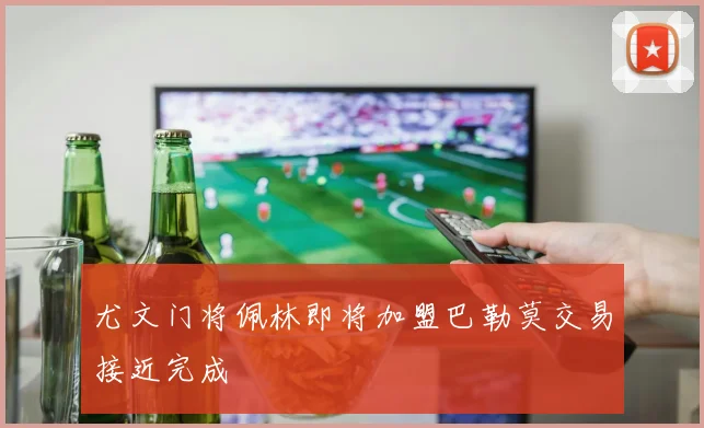 尤文门将佩林即将加盟巴勒莫交易接近完成