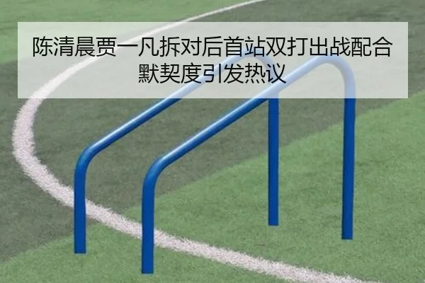陈清晨贾一凡拆对后首站双打出战配合默契度引发热议